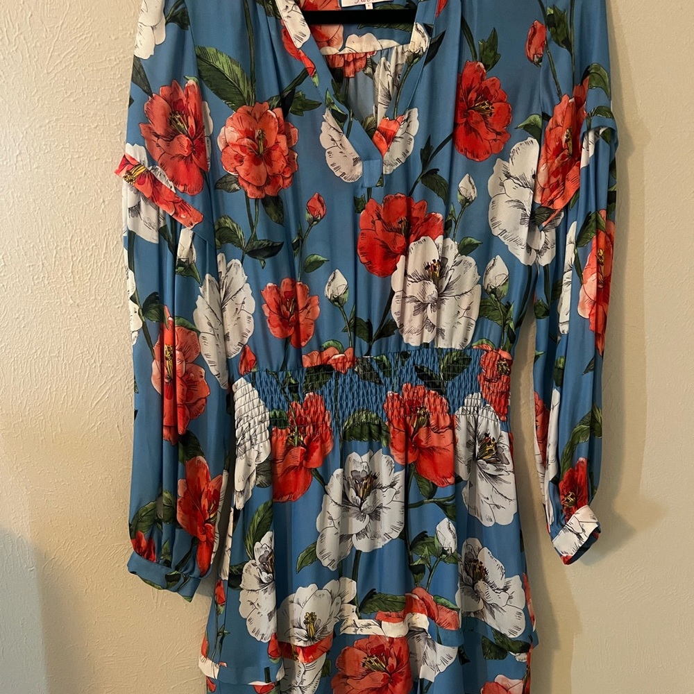 Parker Blue Floral Mini Dress